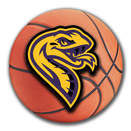 PRMS VIPERS BOYS BASKETBALL