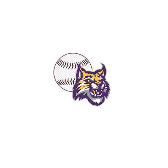 BMS BASEBALL